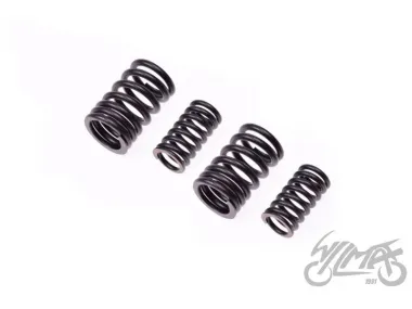 SPRING SET, VALVE FOR SUUKI GN 125 VAR. B