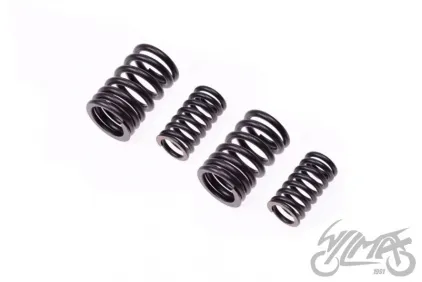 SPRING SET, VALVE FOR SUUKI GN 125 VAR. B
