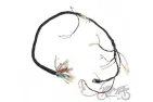 WIRING HARNESS FOR SUZUKI GN125