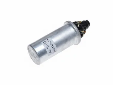 UŽDEGIMO RITĖ "BABINA" SIMSON 6V