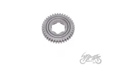 GEAR, NT:38 S51 ORG