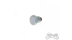 PLUG, OIL DRAIN S51