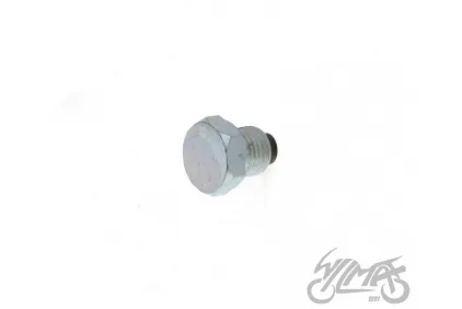 PLUG, OIL DRAIN S51