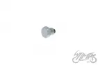 PLUG, OIL DRAIN S51