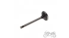 VALVE, IN. FOR AWO