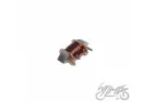 COIL, STATOR CHARGING 12V