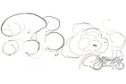 WIRING HARNESS SIMSON SR50