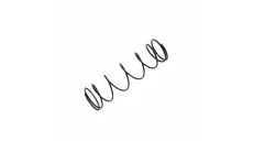 SPRING, THROTTLE S53 BING