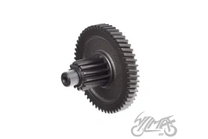 TARPINIS VELENAS GALUTINIS DANTRATIS SYM ORBIT 4T