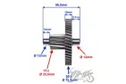 TARPINIS VELENAS GALUTINIS DANTRATIS SYM ORBIT 4T
