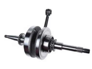 CRANKSHAFT ASSY STANDARD 4T OIL PUMP DRIVE GEAR NT:22