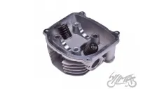 VARIKLIO GALVUTĖ GY6 150 cc