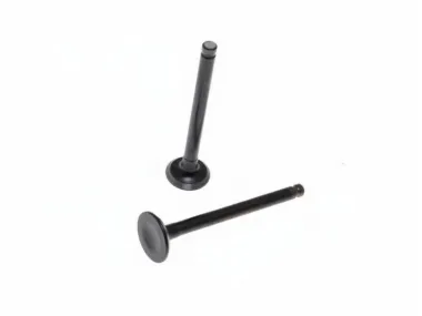 VOŽTUVŲ KOMPLEKTAS ĮSIURBIMO IR IŠMETIMO GALVUTEI 50/80 cc GY6 4T