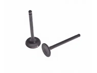 VOŽTUVŲ KOMPLEKTAS ĮSIURBIMO IR IŠMETIMO GY6 125