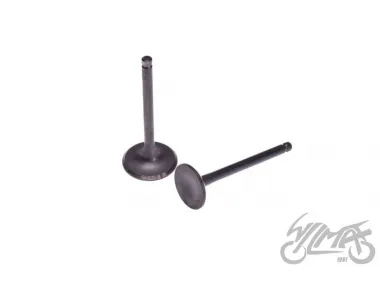 VALVE SET, IN.+EX. GY6 150