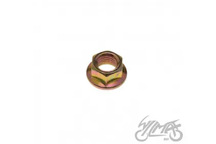 NUT FOR TGB GA501NT01