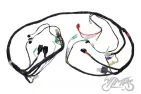 WIRING HARNESS FOR TGB