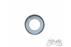 PLATE, SWING ARM AXLE FOR MZ ES 250