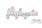 BOLT SET, ENGINE WSK125