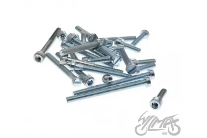 BOLT SET, ENGINE WSK125 SOCKET + SLOT