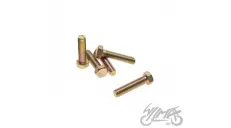 BOLT, KICK STARTER LEVER FOR WSK125 CN