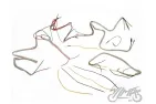 WIRING HARNESS FOR WFM M06 ver. SPEEDOMETER IN HEADLAMP WHITE