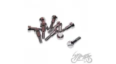 PIVOT BOLT, BRAKE AND CLUTCH LEVER BRACKET