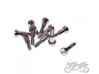 PIVOT BOLT, BRAKE AND CLUTCH LEVER BRACKET