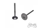 VALVE, INTAKE + EXHAUST FOR YAMAHA YBR125