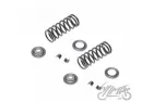 SPRING SET, VALVE FOR YAMAHA YBR125
