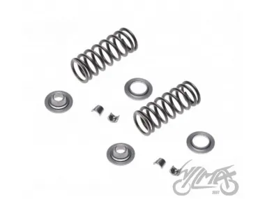 SPRING SET, VALVE FOR YAMAHA YBR125