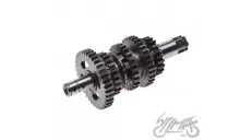 KRUMPLIARATIS GREIČIŲ DĖŽĖS YAMAHA YBR125