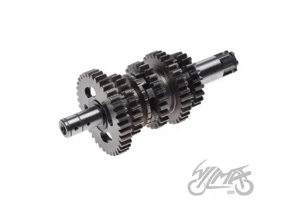 KRUMPLIARATIS GREIČIŲ DĖŽĖS YAMAHA YBR125