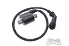 COIL ASSY, IGNITION FOR YAMAHA YBR125