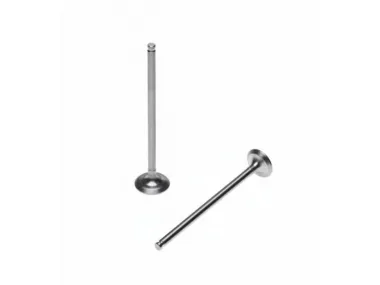 VOŽTUVŲ KOMPLEKTAS, ĮSIURBIMO + IŠMETIMO YAMAHA X-MAX 125