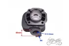 CYLINDER ASSY 50ccm PISTON W/WINDOWS, PIN DIA. 12m