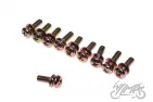 BOLT, OIL PUMP FITTING 2T 10PCS/SET