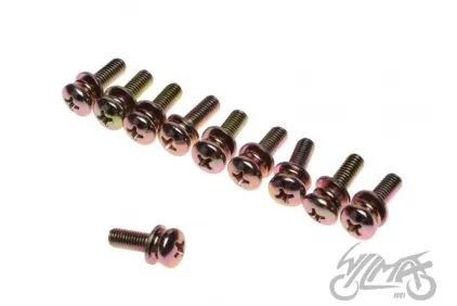BOLT, OIL PUMP FITTING 2T 10PCS/SET