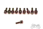 BOLT, OIL PUMP FITTING 2T 10PCS/SET