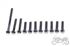 BOLT SET, DRIVE BELT COVER 2T (SET OF 11PCS)