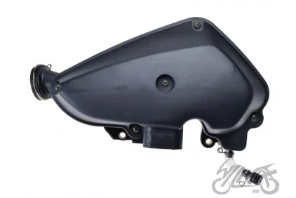 HOUSING ASSY, AIR FILTER W/FOAM FILTER ELEMENT
