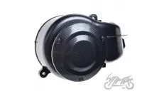 COVER, FAN CARBON-LOOK 2T