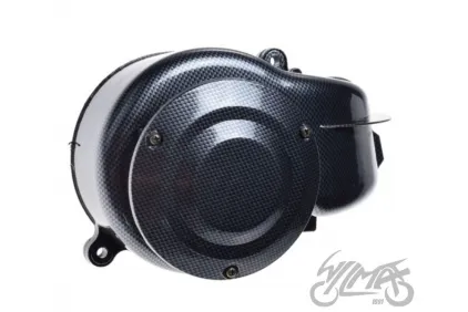 COVER, FAN CARBON-LOOK 2T