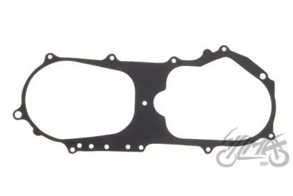 VARIATORIAUS DANGTELIO TARPINĖ 2T KEEWAY FOCUS/FACT