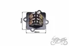 VALVE ASSY, REED 2T KEEWAY FOCUS/FACT
