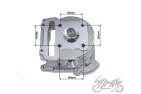 VARIKLIO GALVUTĖ 50CC JJ1P39QM SU VOŽTUVAIS