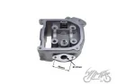 VARIKLIO GALVUTĖ 50CC JJ1P39QM SU VOŽTUVAIS