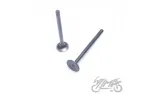VALVE SET, IN.&EX. 4T ENGINE CODE JJ1P39QMB