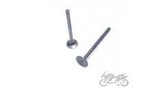 VALVE SET, IN.&EX. 4T ENGINE CODE JJ1P39QMB