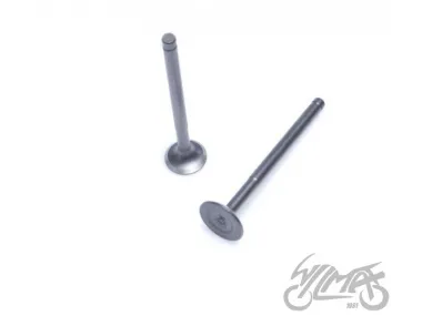 VALVE SET, IN.&EX. 4T ENGINE CODE JJ1P39QMB
